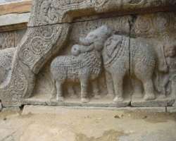 The temple is popular for stone carvings. You can read the stories of the sixty-three Shaiva Bhakti saints on the relief. Also, there are inscriptions